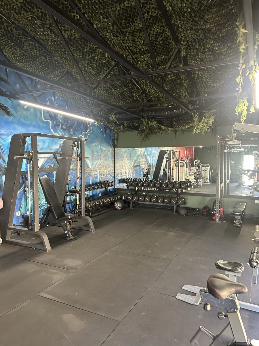 The open training floor at Domain Athletics in Folsom: rubber floor, racks of dumbbells, a smith machine and a mural wall